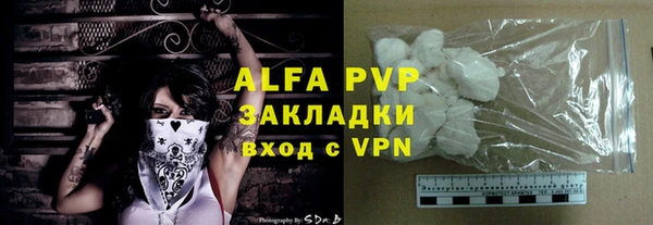 шишки Абаза