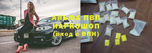 шишки Абаза