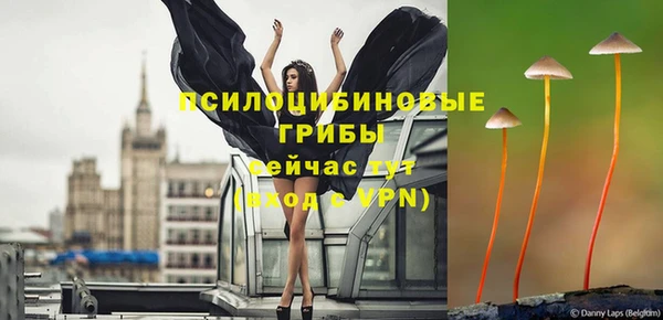 шишки Абдулино