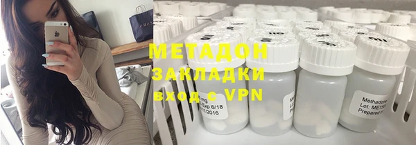 шишки Абаза