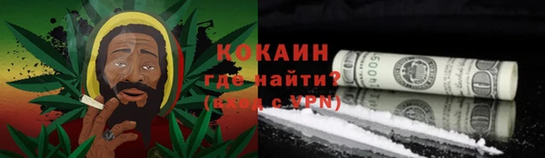 шишки Абаза