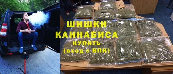 шишки Абаза
