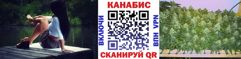 Шишки марихуана семена  Мещовск 